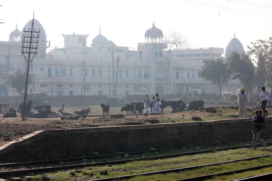 gurudwara - punjab gurudwara - punjab